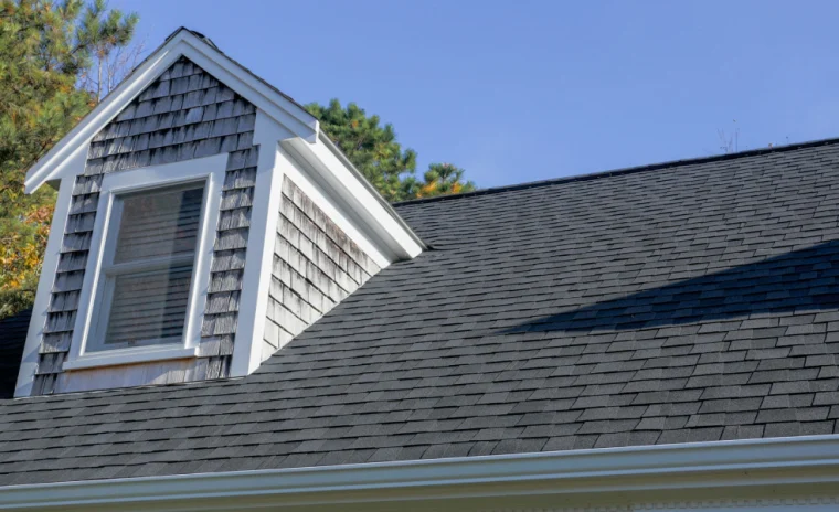 shingle roof in a residential property